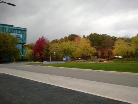 Árvores mudando de cor no outono